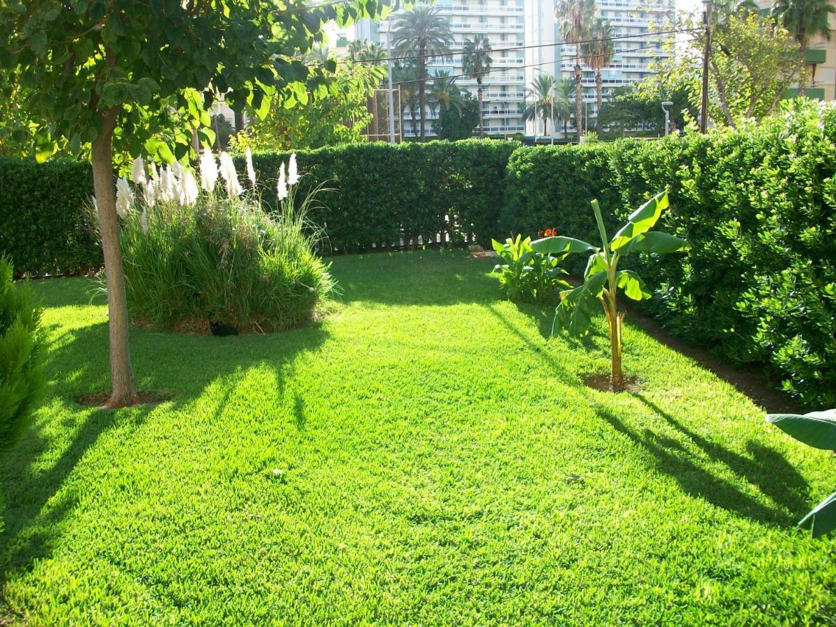 Don Ximo Gandia - Alquiler Solo Familias Apartment Playa de Gandia ภายนอก รูปภาพ